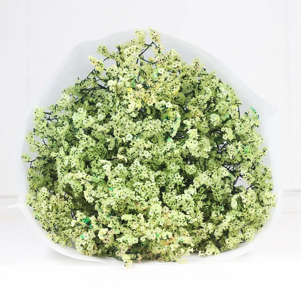 Preserved Everlasting Caspea Limonium  Multi-color For Portable Stage Decoration Backdrop Design lavender flowers dried
