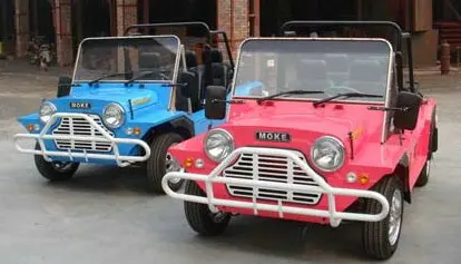 1500w Electric power Mini Moke with spare parts, Quad Bikes.Delight with reminiscence ,sightseeing vehicle, manual mini quad atv