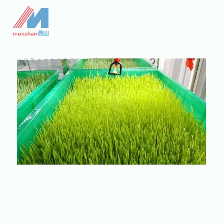 cow farm equipment cattle fodder container | hydroponic grass germinating system for growing barley wheat maize