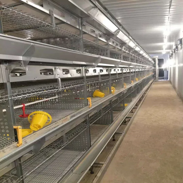  Проект по производству яиц курятник