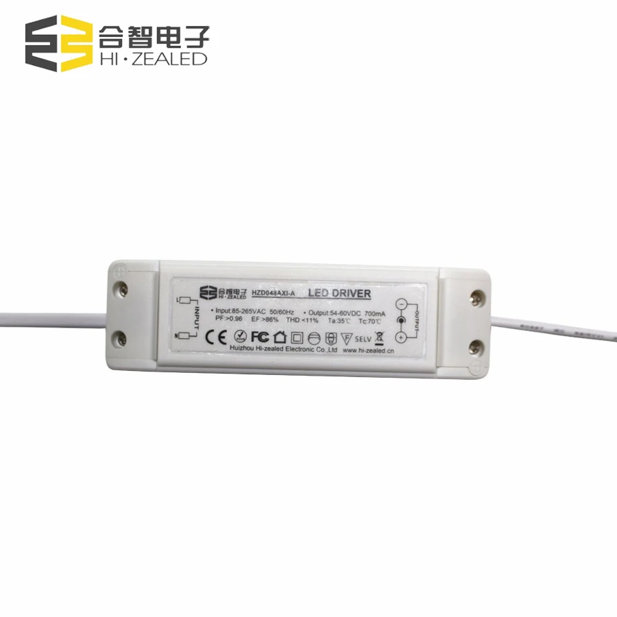 24-48w output 54-60V 700mA 1000mA constant current led driver led floodlight driver led panel light driver