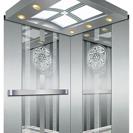 VVVF маленький пассажирский подъемник с отключением питания, аварийное устройство выравнивания и дверь шкафа для продажи, низкая цена