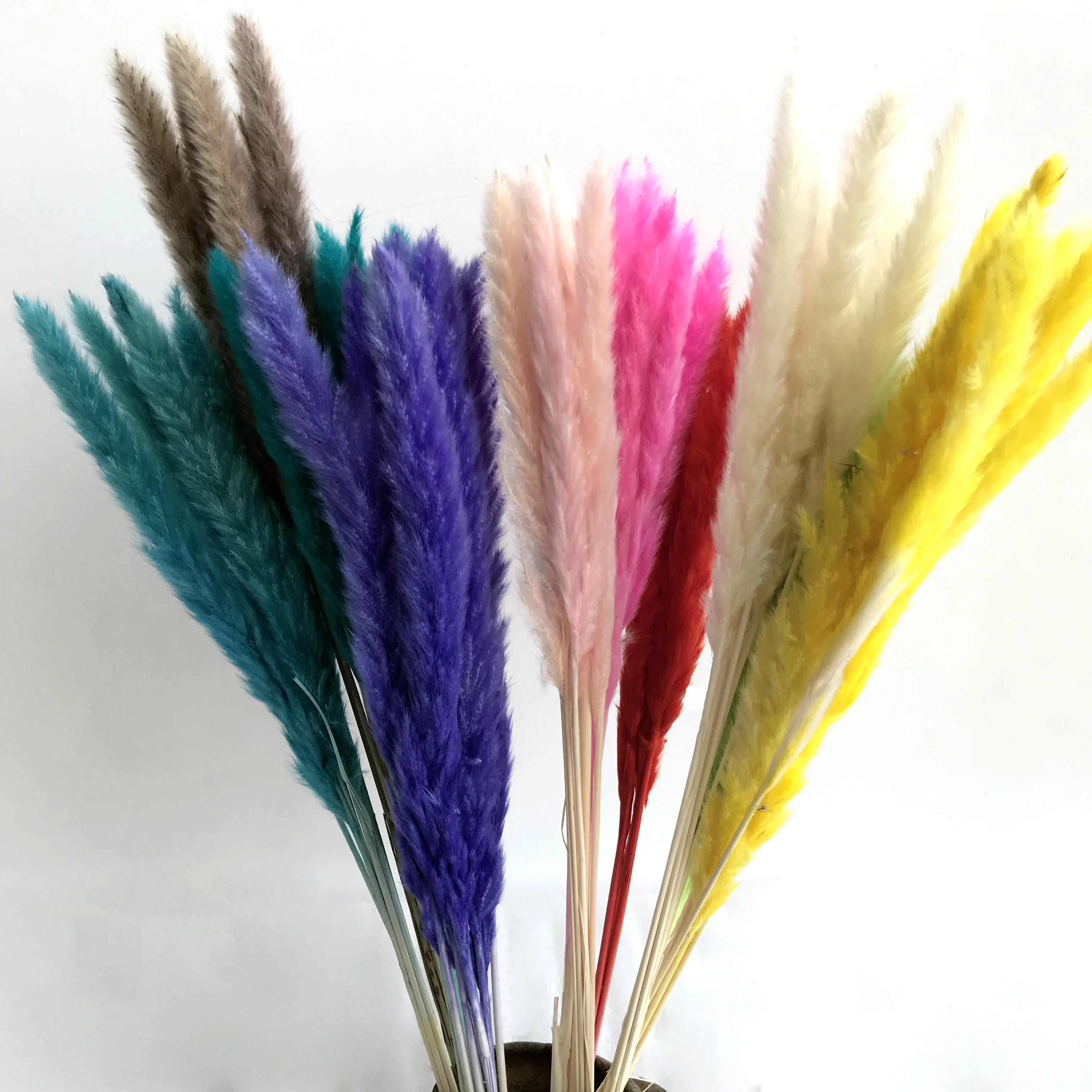 dried flowers painting dried flowers singapore