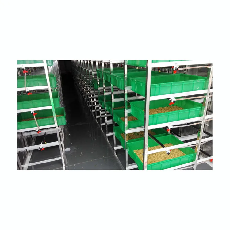 cow farm large hydroponic fodder system for growing barley bean garlic