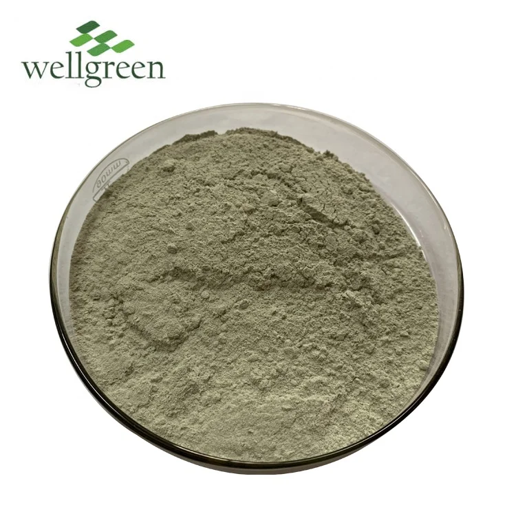 
High Quality Animal Feed Additive 325mesh Zeolite Powder 