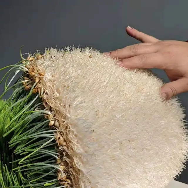 2020 Hydroponic seeds germinate machine/green fodder making barley breeding room/automatic bud seedling equipment