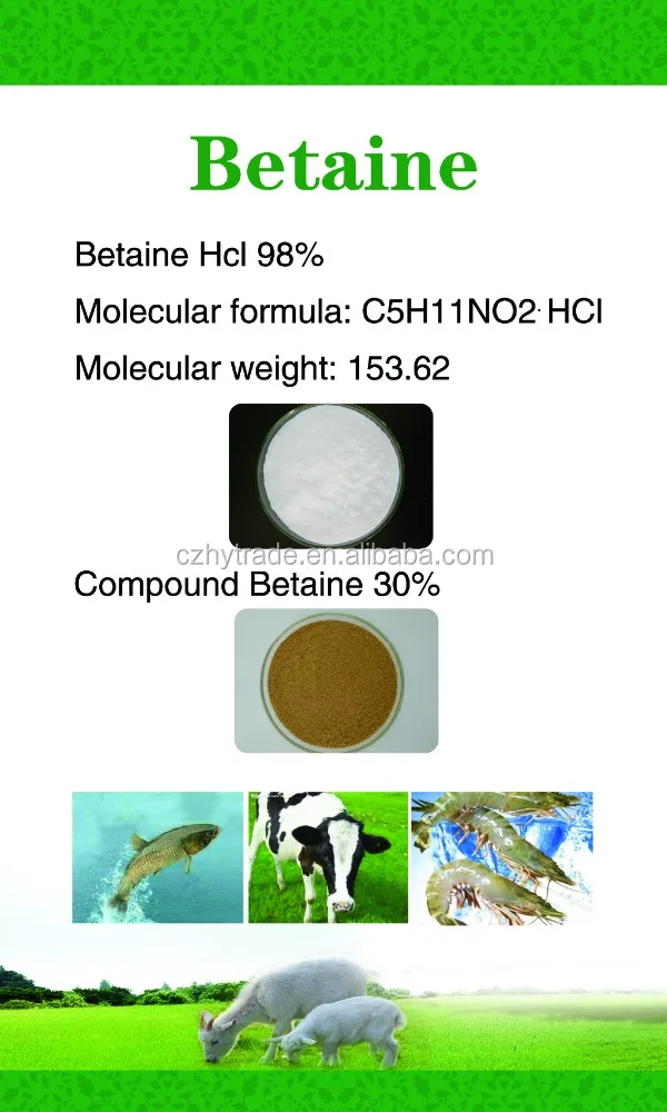 Animal feed rate betaine hydrochloride (hcl) 98% in India