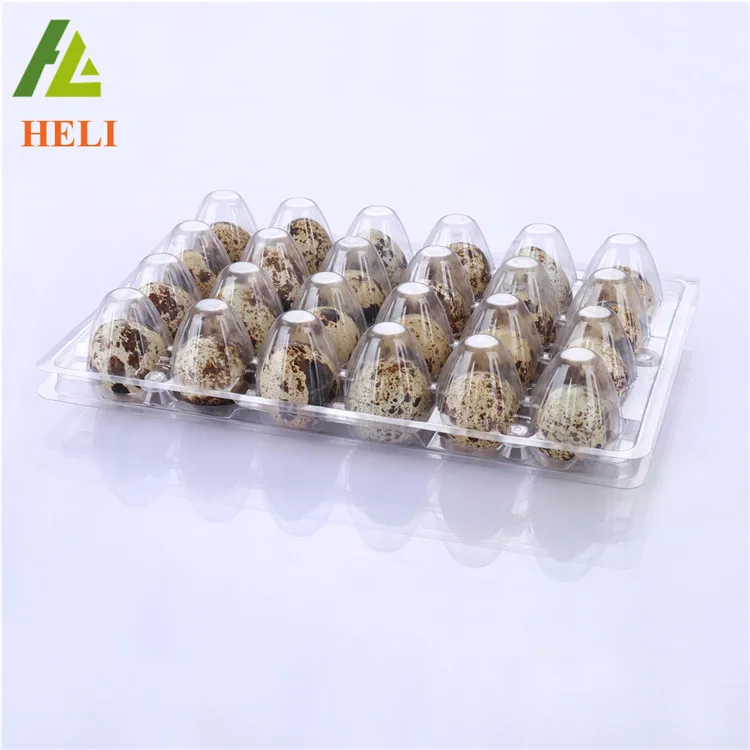 24 Holes Clamshell clear disposable plastic quail egg cartons