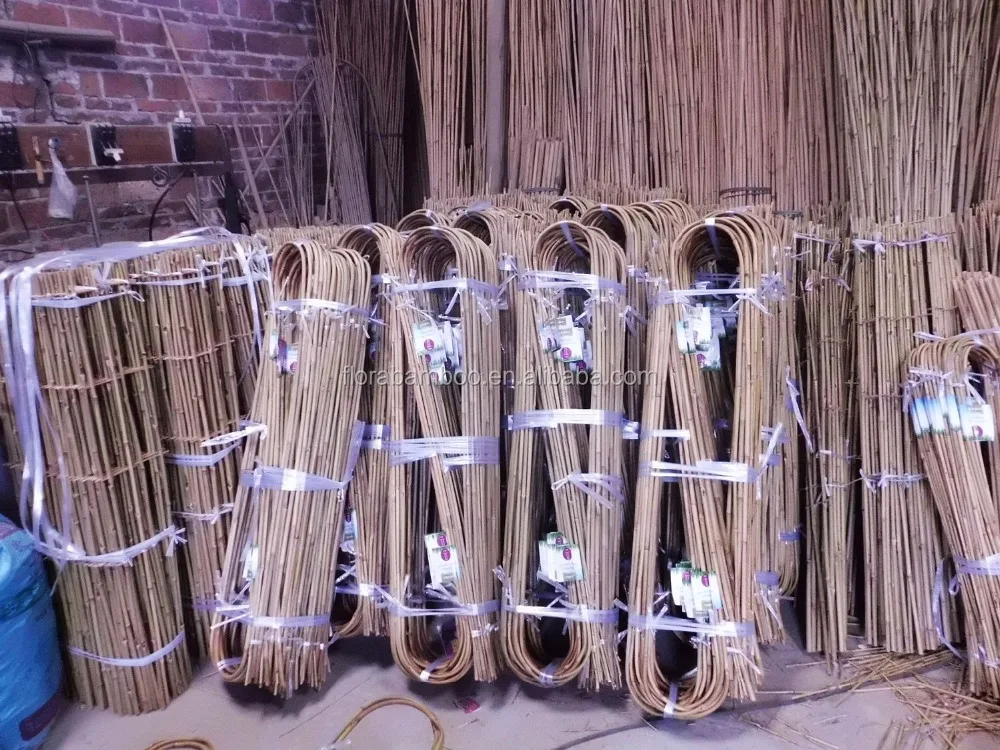 U shaped bamboo cane 90 cm,10-12mm