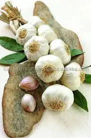 Wholesale Dealer of Most Selling Garlic Essential Oil from India