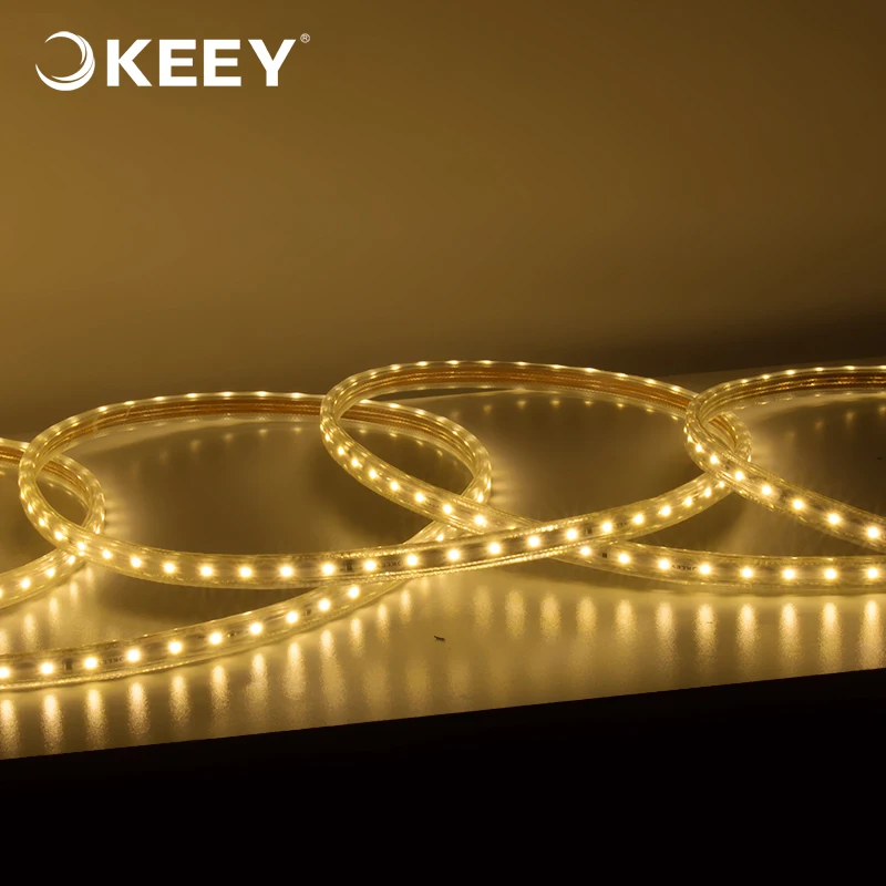2020 high brightness keey waterproof 60w high quality soft led light strip flexible outdoor smart led light strip DD603