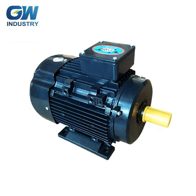 IEC Aluminum Premium 12 volt three phase pussy pump electric motor