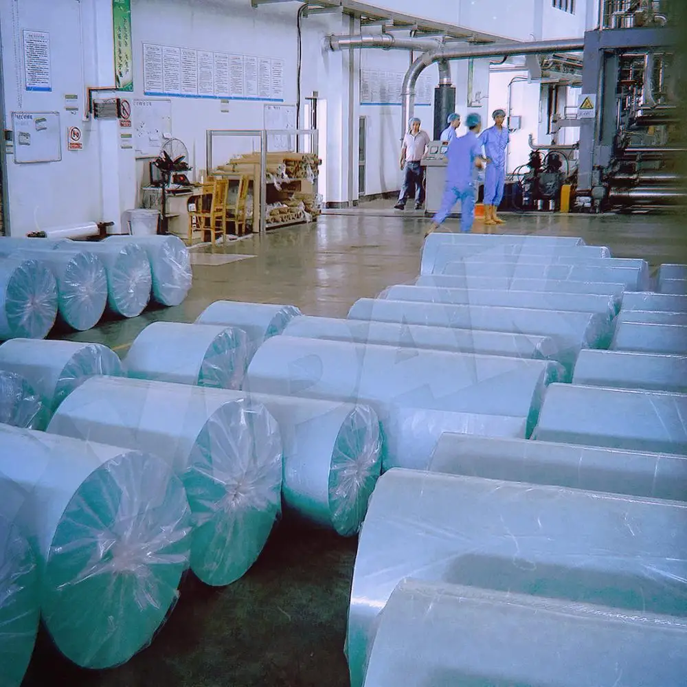 Medical Crepe Paper in Jumbo Roll