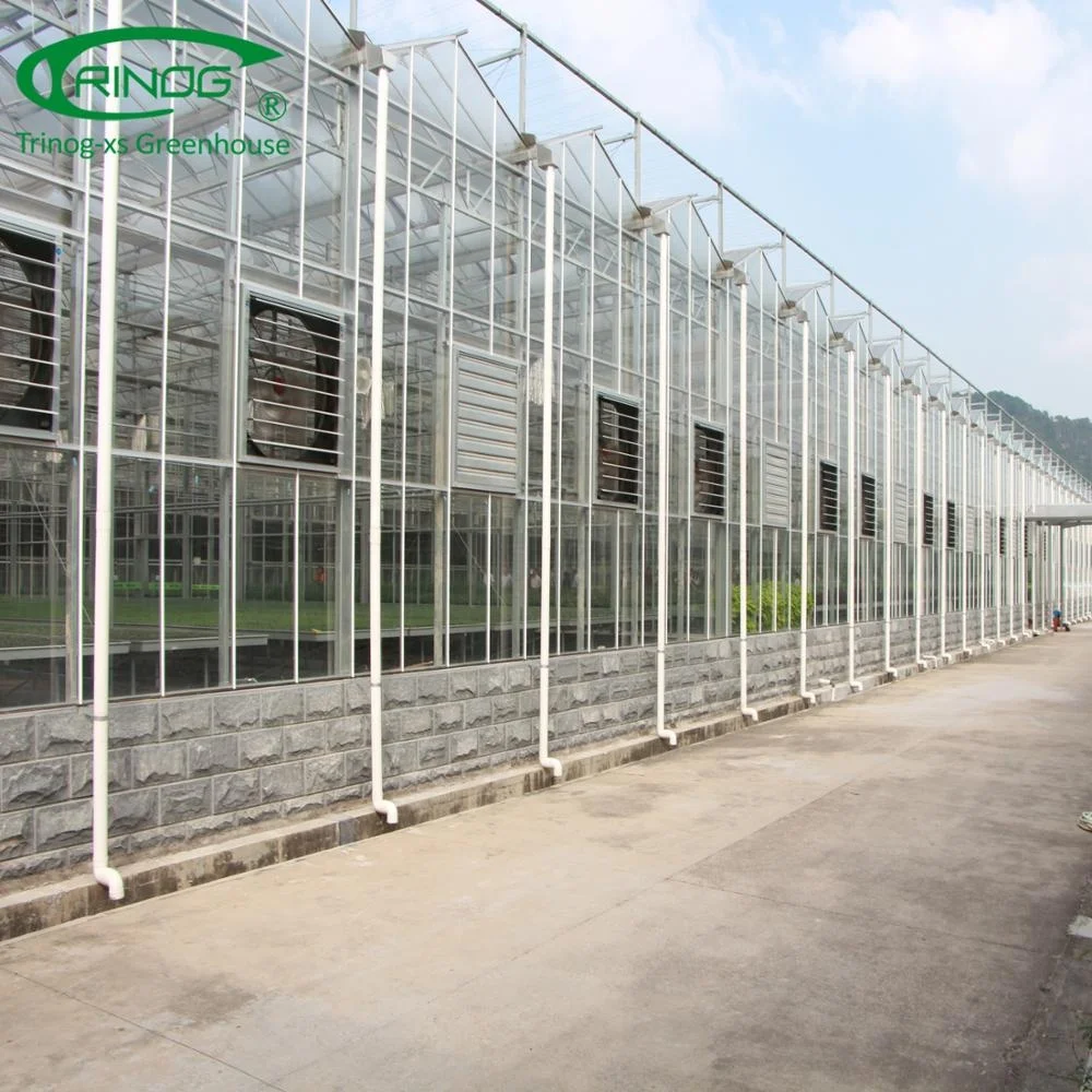 Venlo aluminium glass greenhouse framegreenhouse agriculture hydroponic for farm