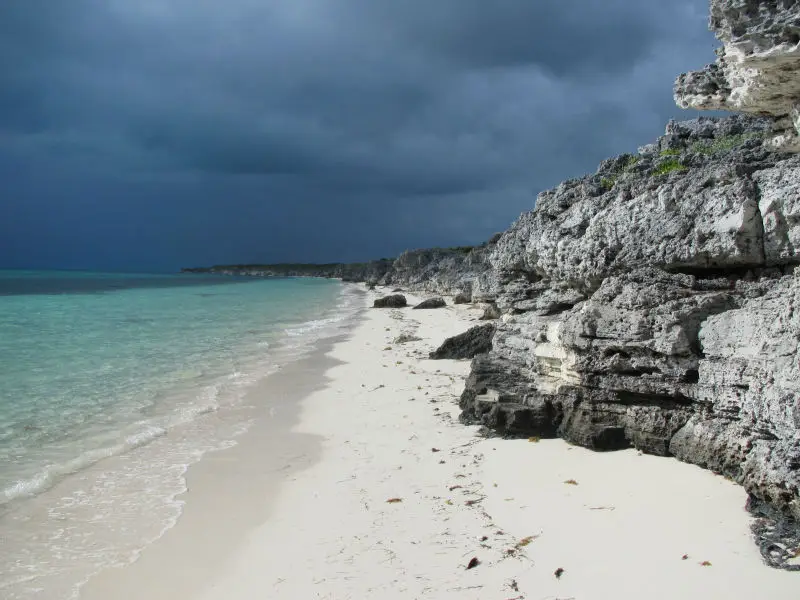  20% skidka na vse lotes