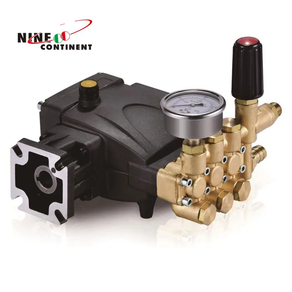 Custom your own booster pumps steering pump water pressure