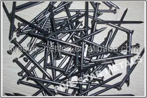 different type steel and iron wire nail (factory)