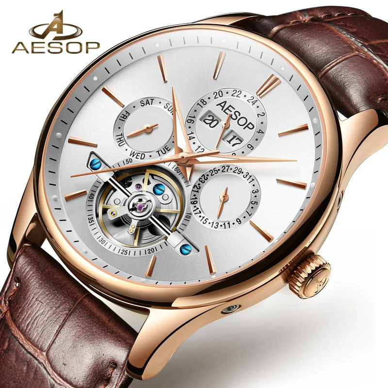 AESOP Brand Fashion Men stainless steel case genuine leather Chronograph automatic Quartz watch