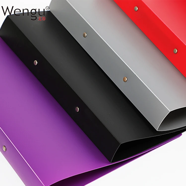 
Good Quality Wholesale Shenghua Printing Custom Print A4 Size Document Holder A4 PP Plastic File Folder 2 Ring Binder 
