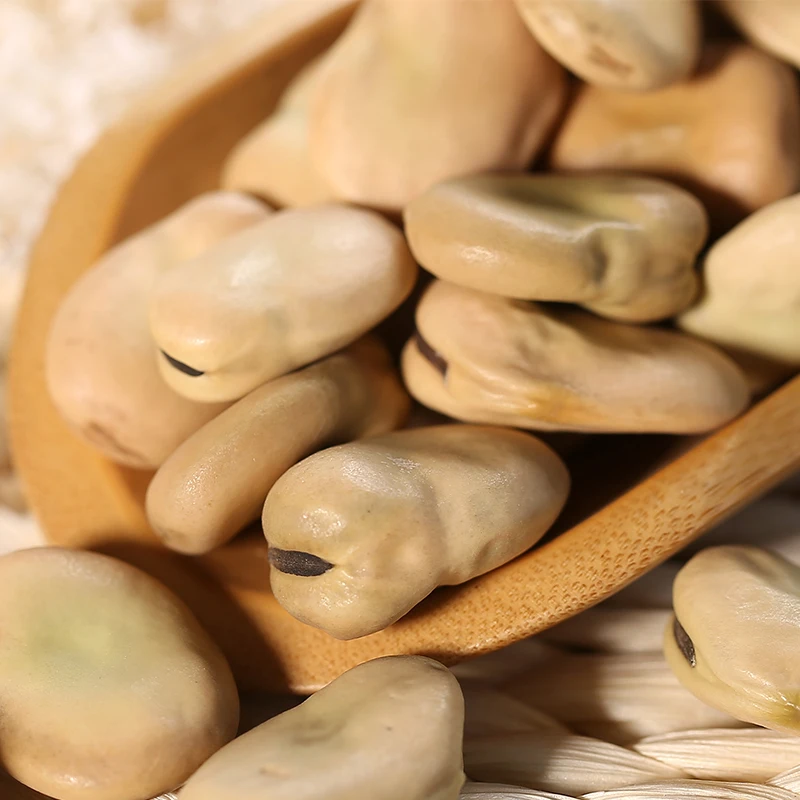 
High quality dried split broad beans 