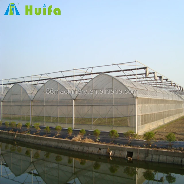 Metal Frame Commercial Multi Span Greenhouse