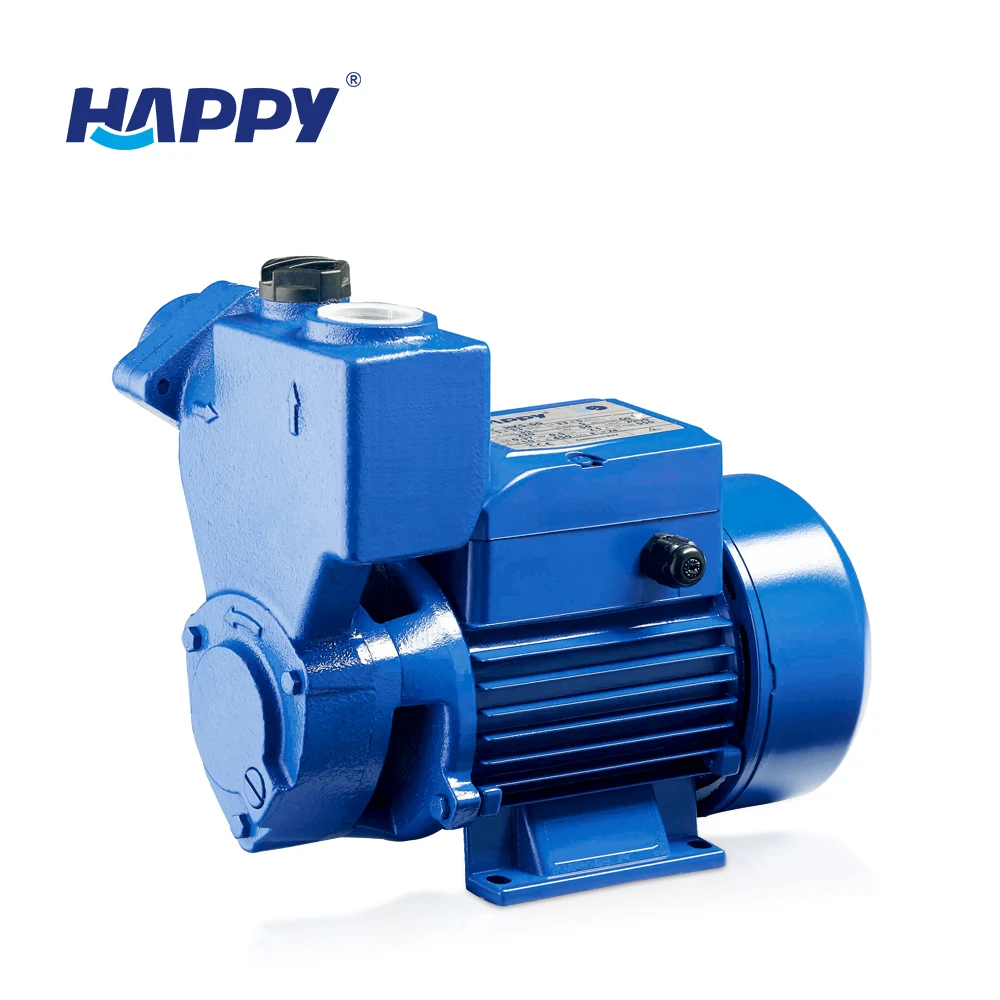 Cast iron 300 watts 0.37kw self priming peripheral water pump capacitor