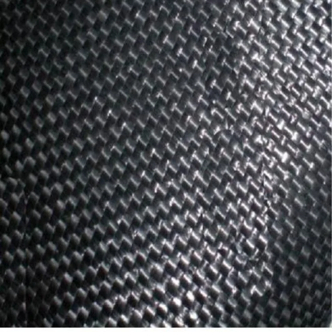 
High Strength PP Woven Black Geotextile Fabric 