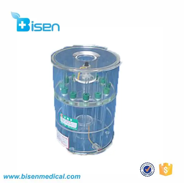 Dna Or Pcr Hemoglobin Electrophoresis Vertical Gel Electrophoresis For Western Blotting