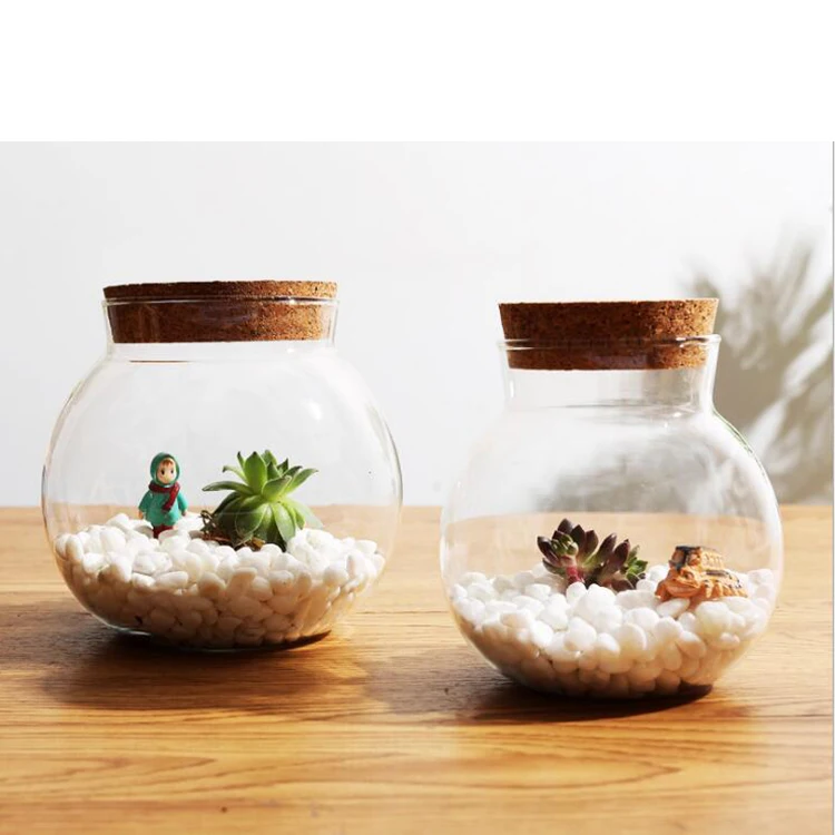 Glass Terrarium Container Bell Jars, Plant Terrarium in Glass Jar