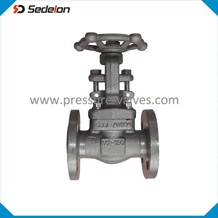 Кованая сталь A105 стыковая сварка/гнездовой сварной шов/NPT концы/фланцевый затвор