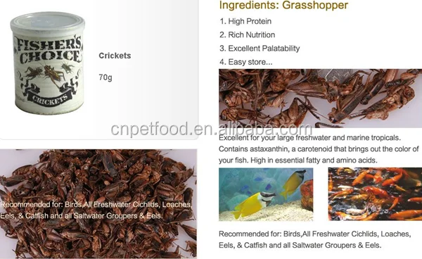 Сушеные колючки корм для птицы корм для кур корм для птиц