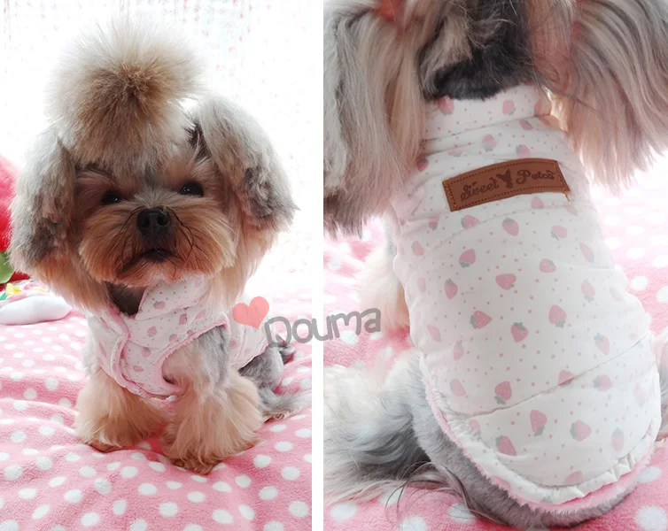 Petco Dog Clothes Reviews - Online Shopping Petco Dog