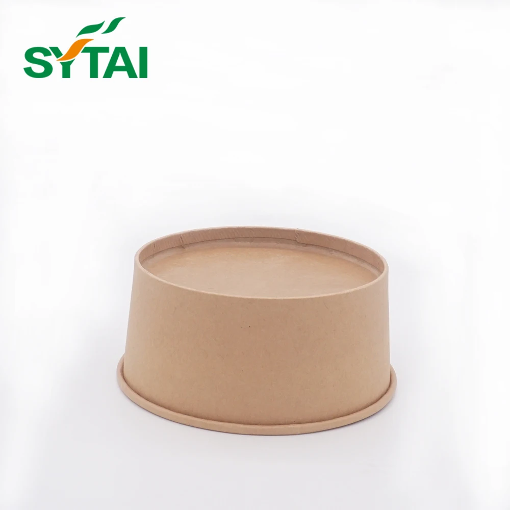 Designed pe coated take away custom printed instant noodle cup