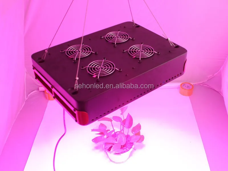 Hydroponics Equipment Tomato Seeds Grow Kit 270W Apollo 6 Led Grow Light