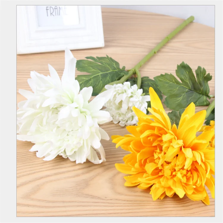 Factory Wholesale Fresh Cut Chrysanthemum For Home Decoration