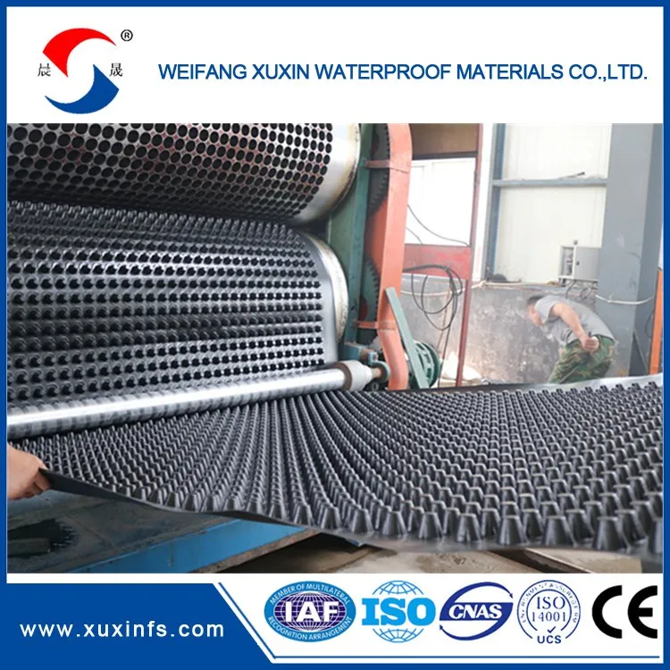 Plastic Waterproof Material Green Roof Drainage Board