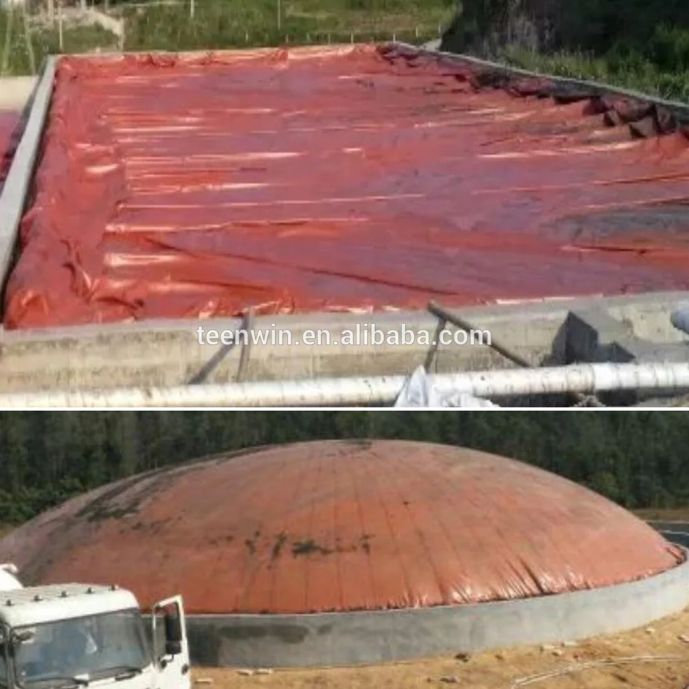 Biogas plant for waste