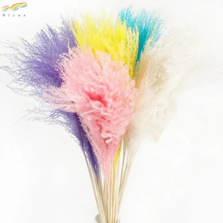 Сушеная пампасная трава тростник Натуральные сушеные цветы нефрагмиты декоративные перья тростник трава высокая трава