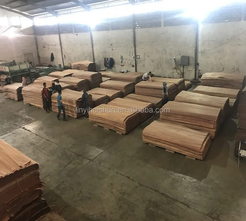 
keruing log wood veneer from Indonesia 