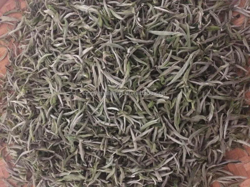 
organic silver needle white tea 