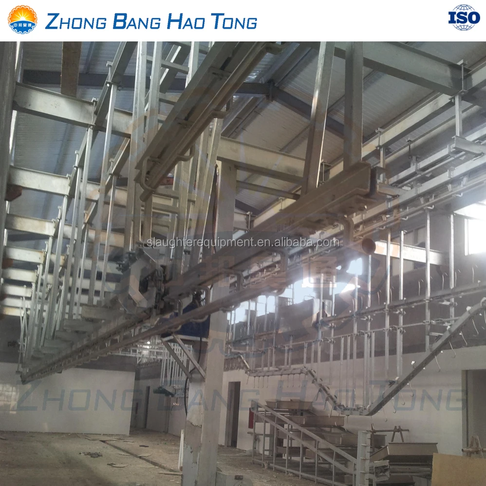 Cattle Bleeding track for cattle abattoir