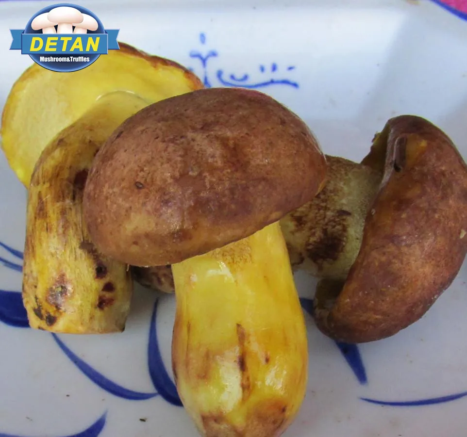 
Рыночные цены на грибы Detan Wild Boletus 