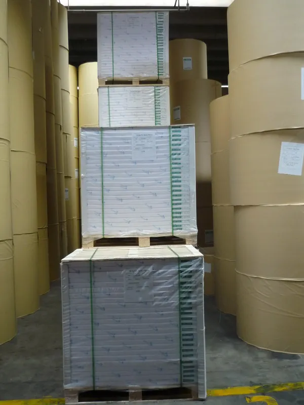 Ivory Fbb Board,C1s Board ,One side folding box board white back