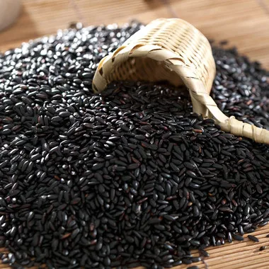 
organic steamed black rice for export 