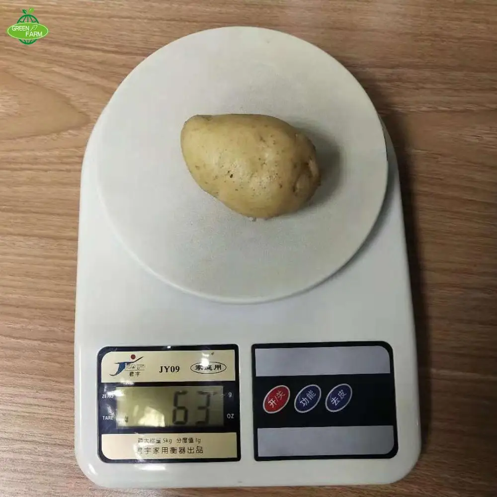 Fresh potato seed,potato seeds for sale