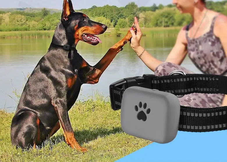 A21P strong waterproof gps pet tracker with long battery life