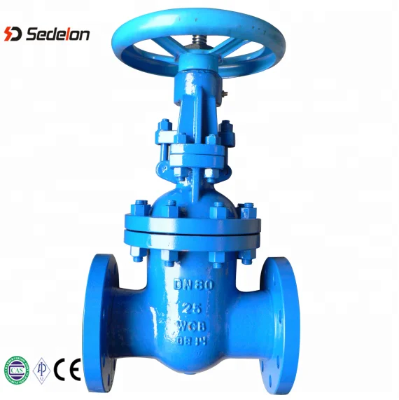 GS-C25 Flanged Ends Flexible Wedge O S &Y DIN PN25 DN80 Gate Valves