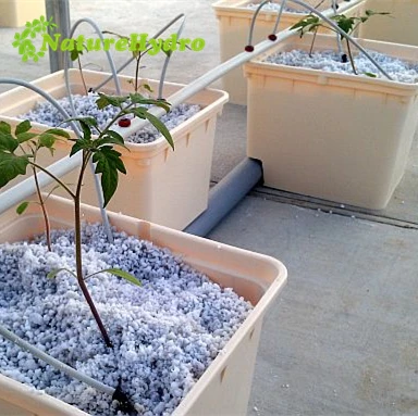 4 Gallon bato buckets hydroponic plastic grow pots tomatoes systems