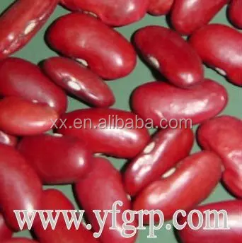 Light speckled kidney beans red kidney beans kidney beans benefits health