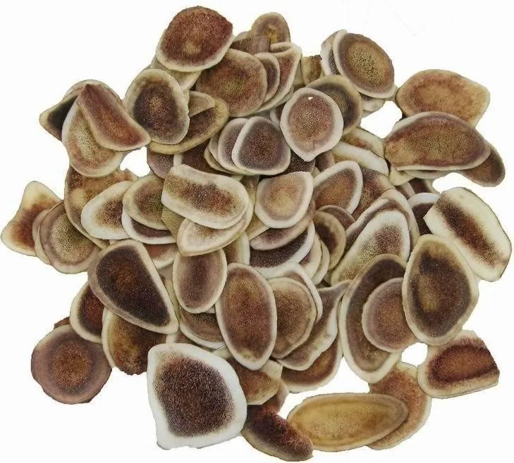 Spot supply Deer Antler Velvet Extract Powder  with high quality